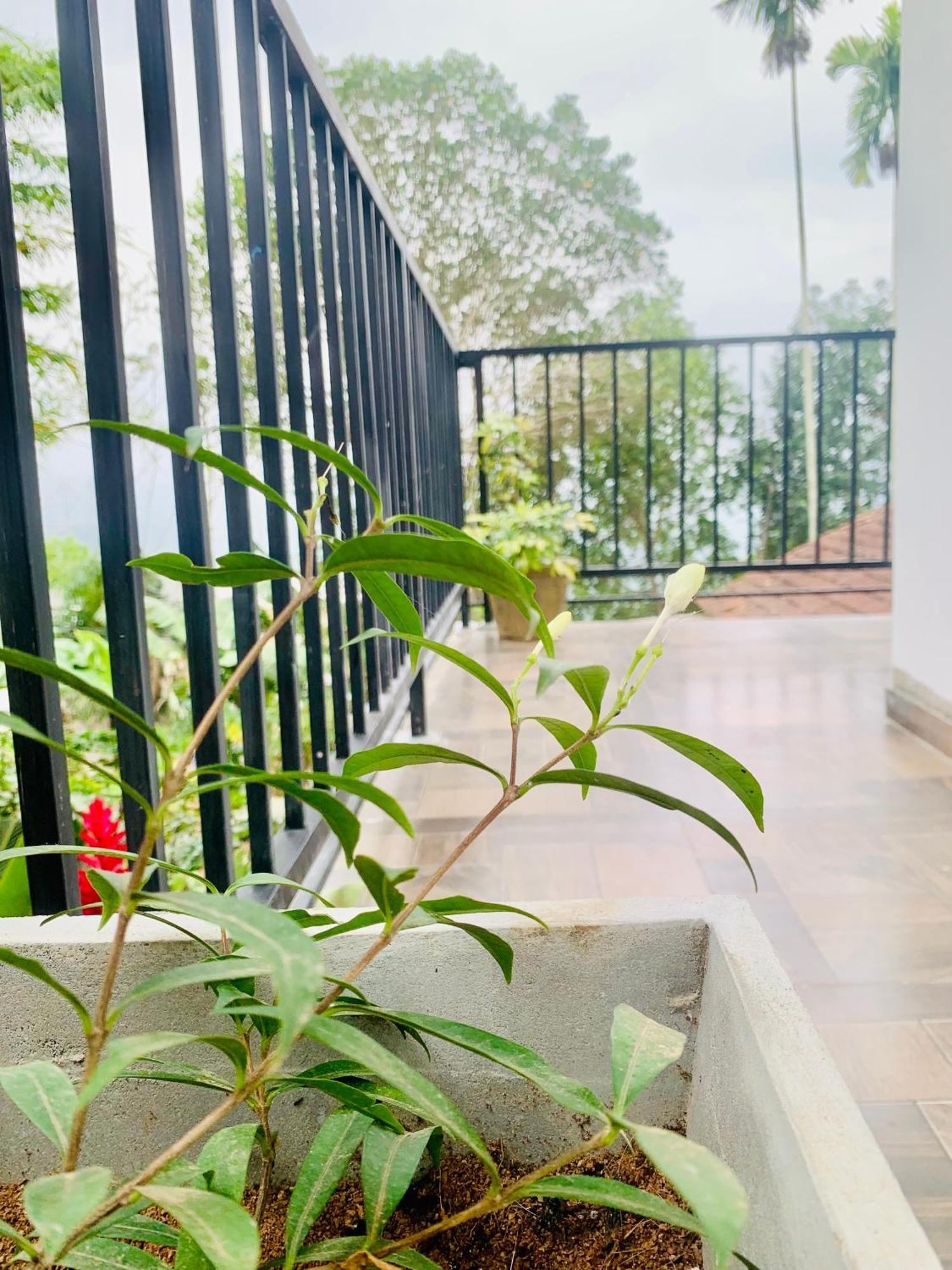 Broad View Apartman Ella Kültér fotó