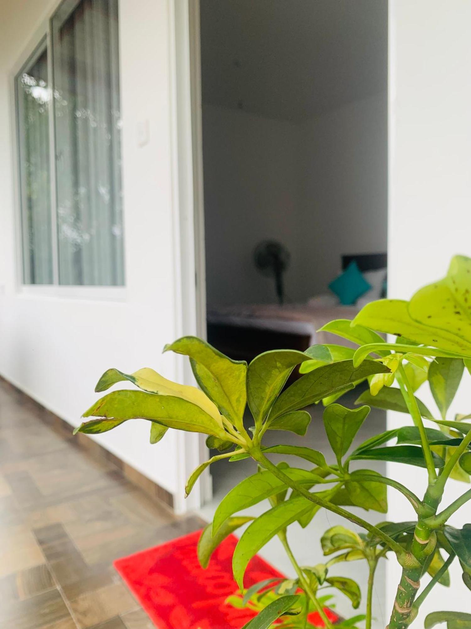 Broad View Apartman Ella Kültér fotó